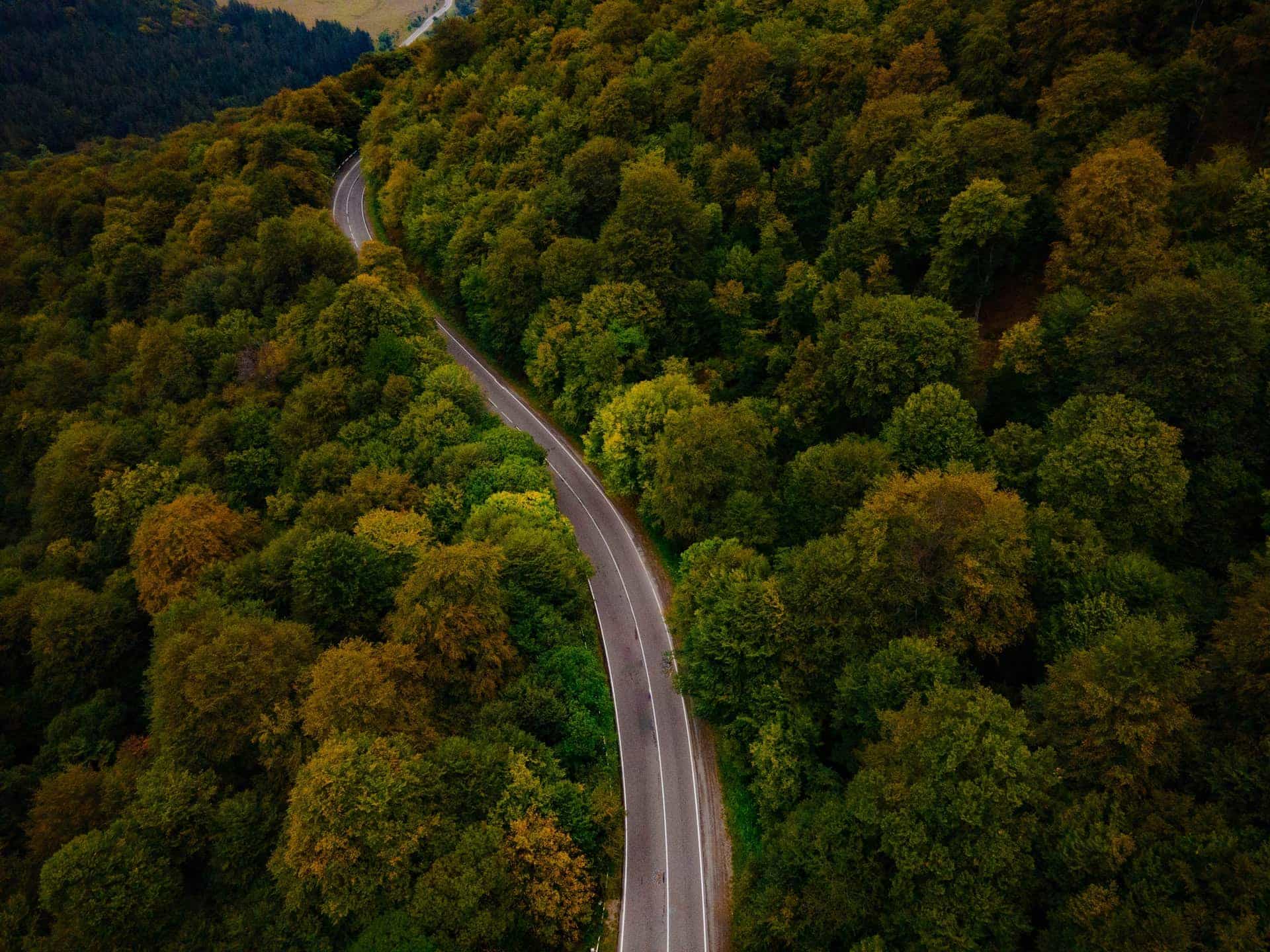 Photo of road to Stepanavan in forest taken from drone 